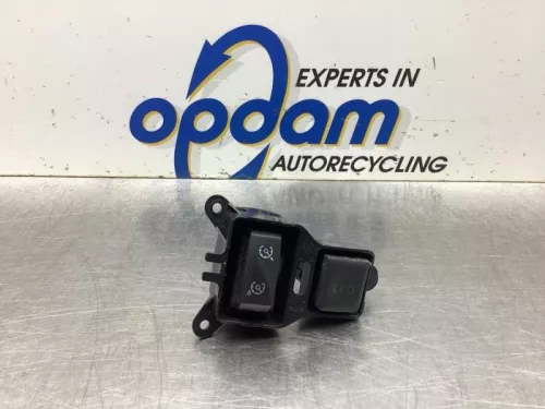 Cruise Control Bediening-8059555