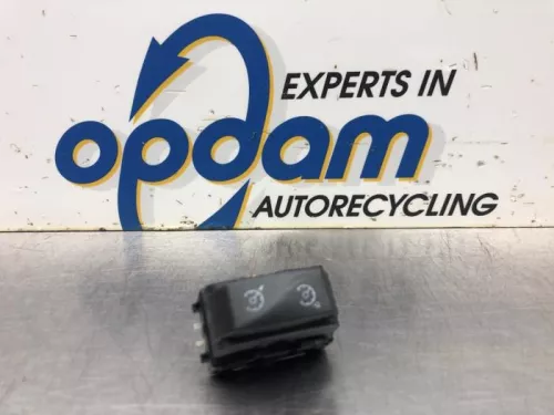 Cruise Control Bediening-8072215