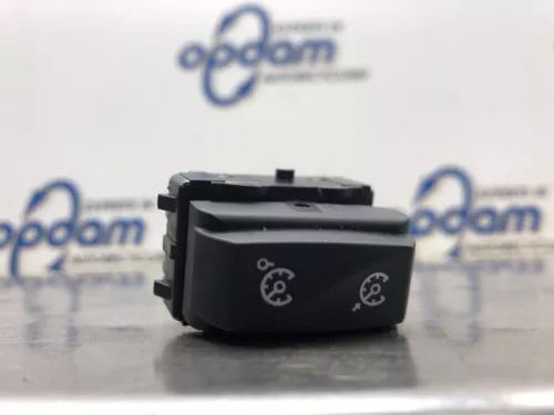 Cruise Control Bediening-8081229