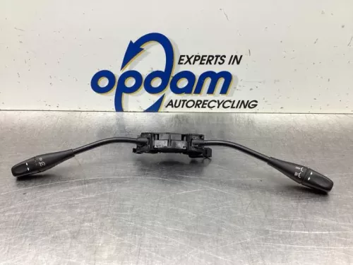 Cruise Control Bediening-8076666