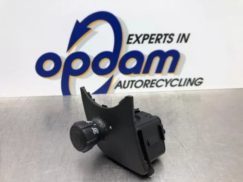 Cruise Control Bediening-8213546