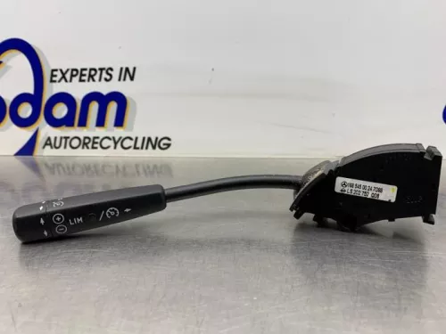 Cruise Control Bediening-8250848