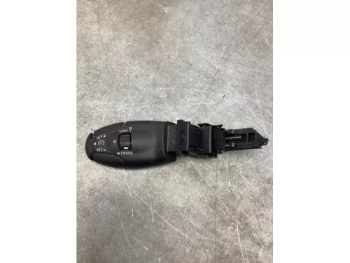 Cruise Control Bediening-8103469