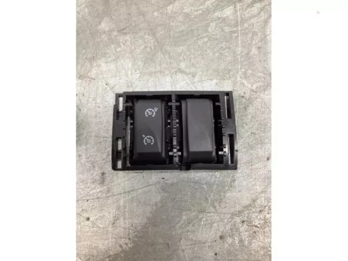 Cruise Control Bediening-8215672