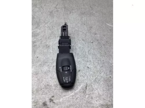 Cruise Control Bediening-8286474