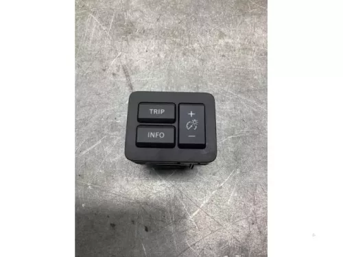 Cruise Control Bediening-8097267