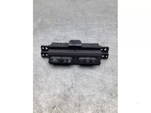 Cruise Control Bediening-7747558