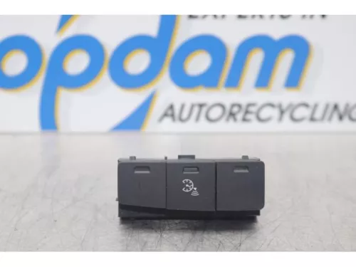 Cruise Control Bediening-7738566