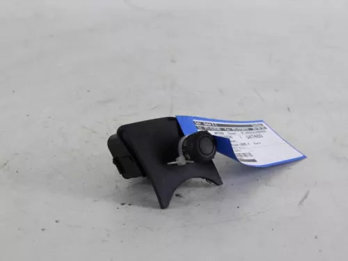 Cruise Control Bediening-7888101