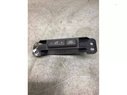 Cruise Control Bediening-8195268