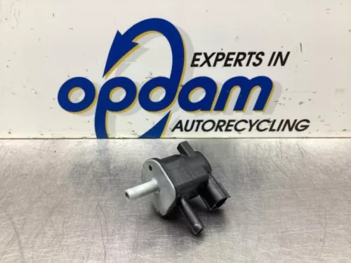 Cruise controle vacuumpomp-8031254