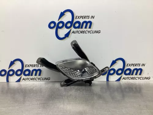 Dagrijverlichting links-7919010