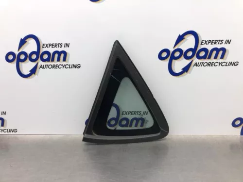 Driehoeks Ruit links-achter-8131101