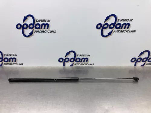 Gasdemper Cabriodak-8103069