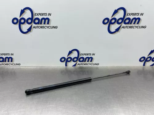 Gasdemper links-achter-8320915