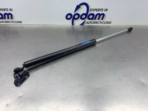 Gasdemper links-achter-8310562