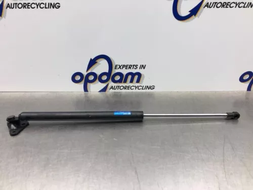 Gasdemper links-achter-8227297