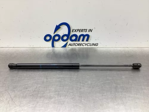 Gasdemper links-achter-8074526