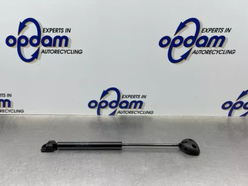 Gasdemper links-achter-8269838