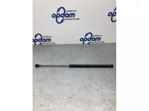 Gasdemper links-achter-8141869