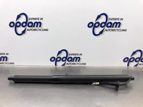 Gasdemper links-achter-