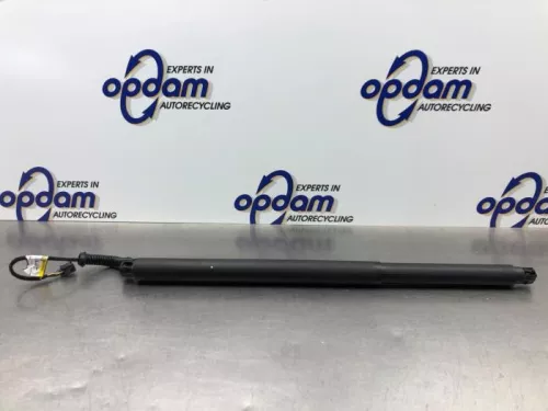 Gasdemper links-achter-