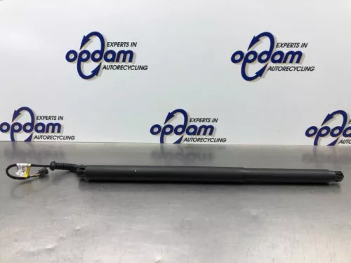 Gasdemper links-achter-