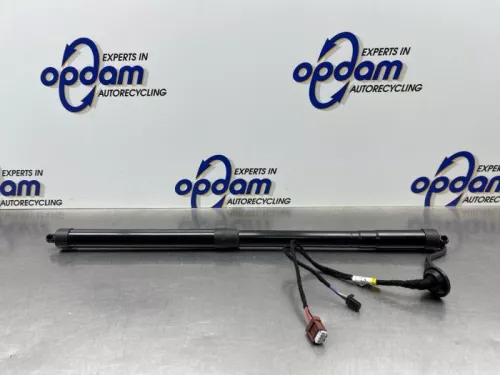 Gasdemper links-achter-