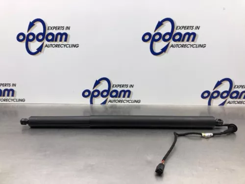 Gasdemper links-achter-