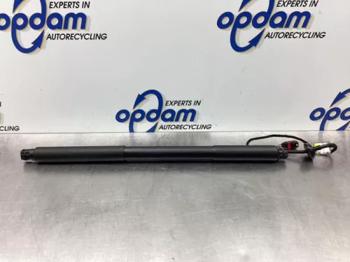 Gasdemper links-achter-