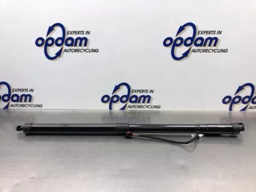 Gasdemper links-achter-