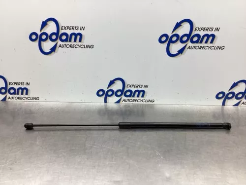 Gasdemper Motorkap links-7928022