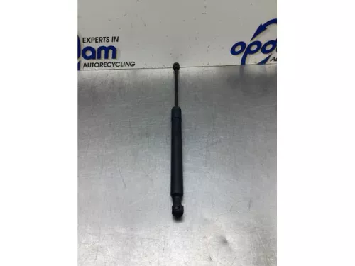 Gasdemper Motorkap links-8048548