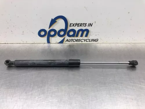 Gasdemper Motorkap links-8072215