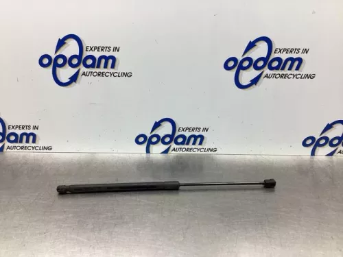 Gasdemper Motorkap links-7933937