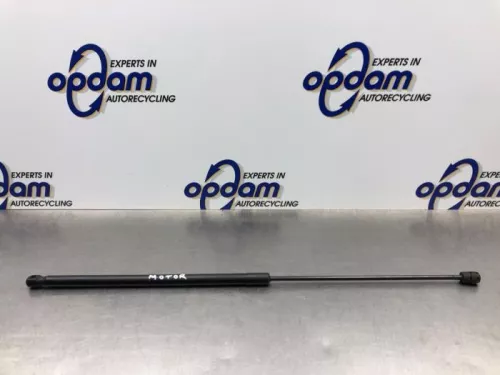 Gasdemper Motorkap links-8221705