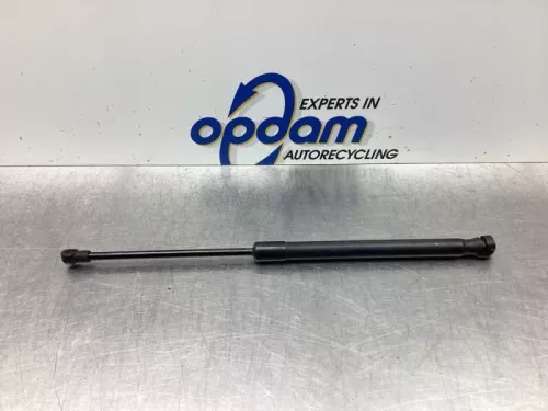 Gasdemper Motorkap links-7920377