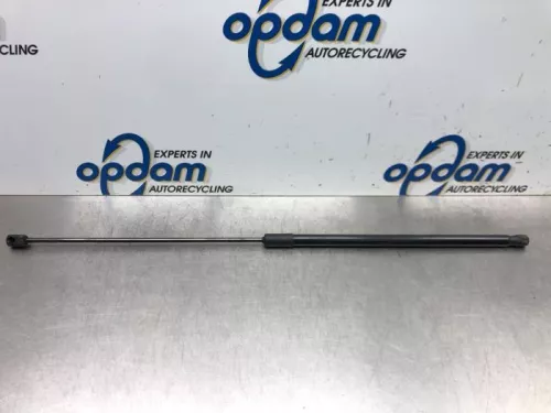 Gasdemper Motorkap links-6747991