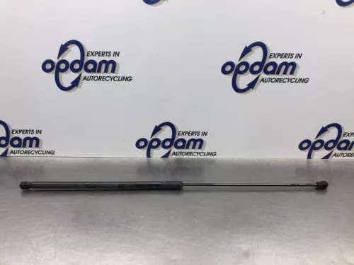 Gasdemper Motorkap rechts-8101100