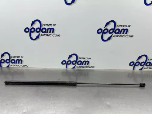 Gasdemper Motorkap rechts-8179334