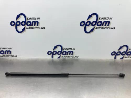 Gasdemper Motorkap rechts-8222342