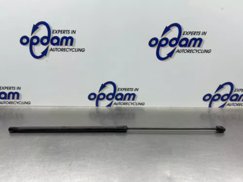 Gasdemper Motorkap rechts-8072354