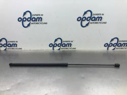 Gasdemper Motorkap rechts-8025736