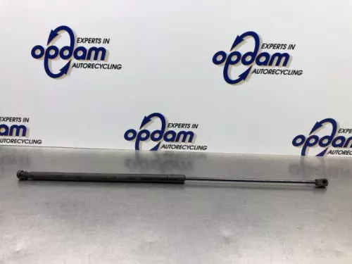 Gasdemper Motorkap rechts-8194642