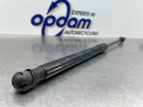 Gasdemper Motorkap Set-8118981