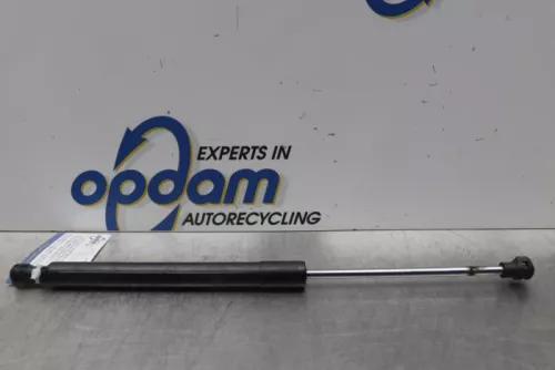 Gasdemper Motorkap Set-7581028