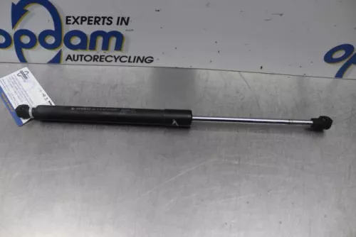 Gasdemper Motorkap Set-7544425