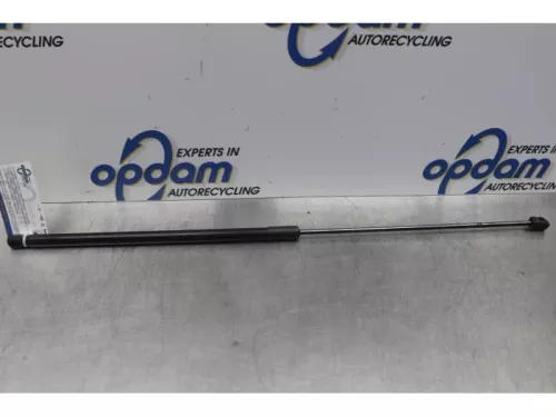 Gasdemper Motorkap Set-7853335