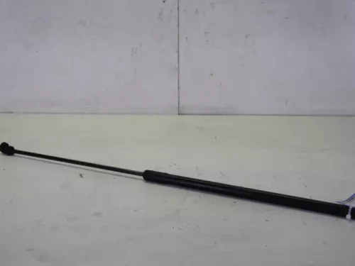 Gasdemper Motorkap Set-7716430