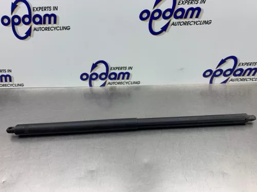 Gasdemper rechts-achter-8239615